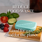 FridgePal™ - Ethylene Gas Absorber & Odor Remover