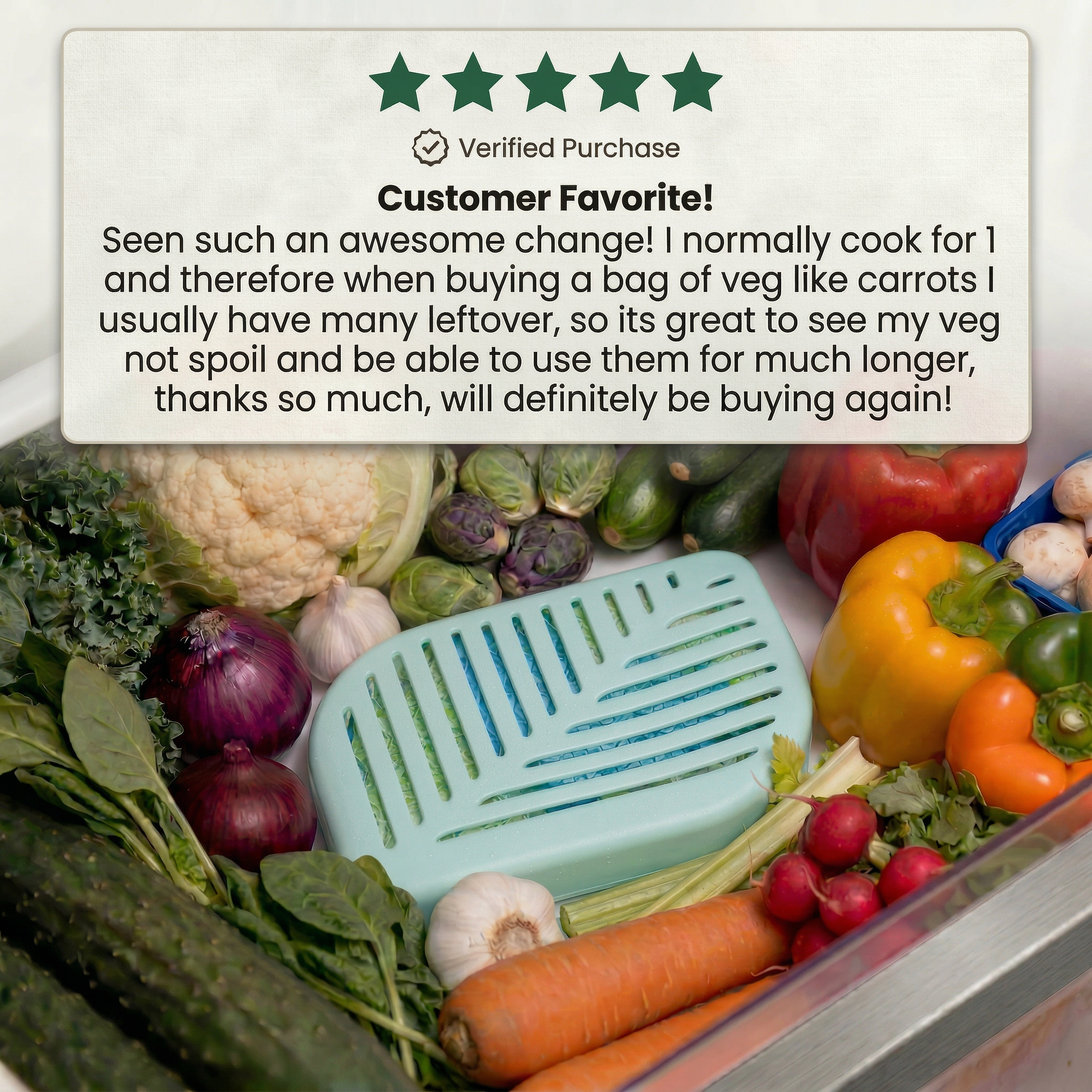 FridgePal™ Produce Saver | 3-Month Supply