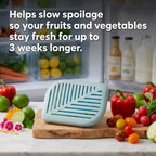 FridgePal™ Produce Saver | 3-Month Supply