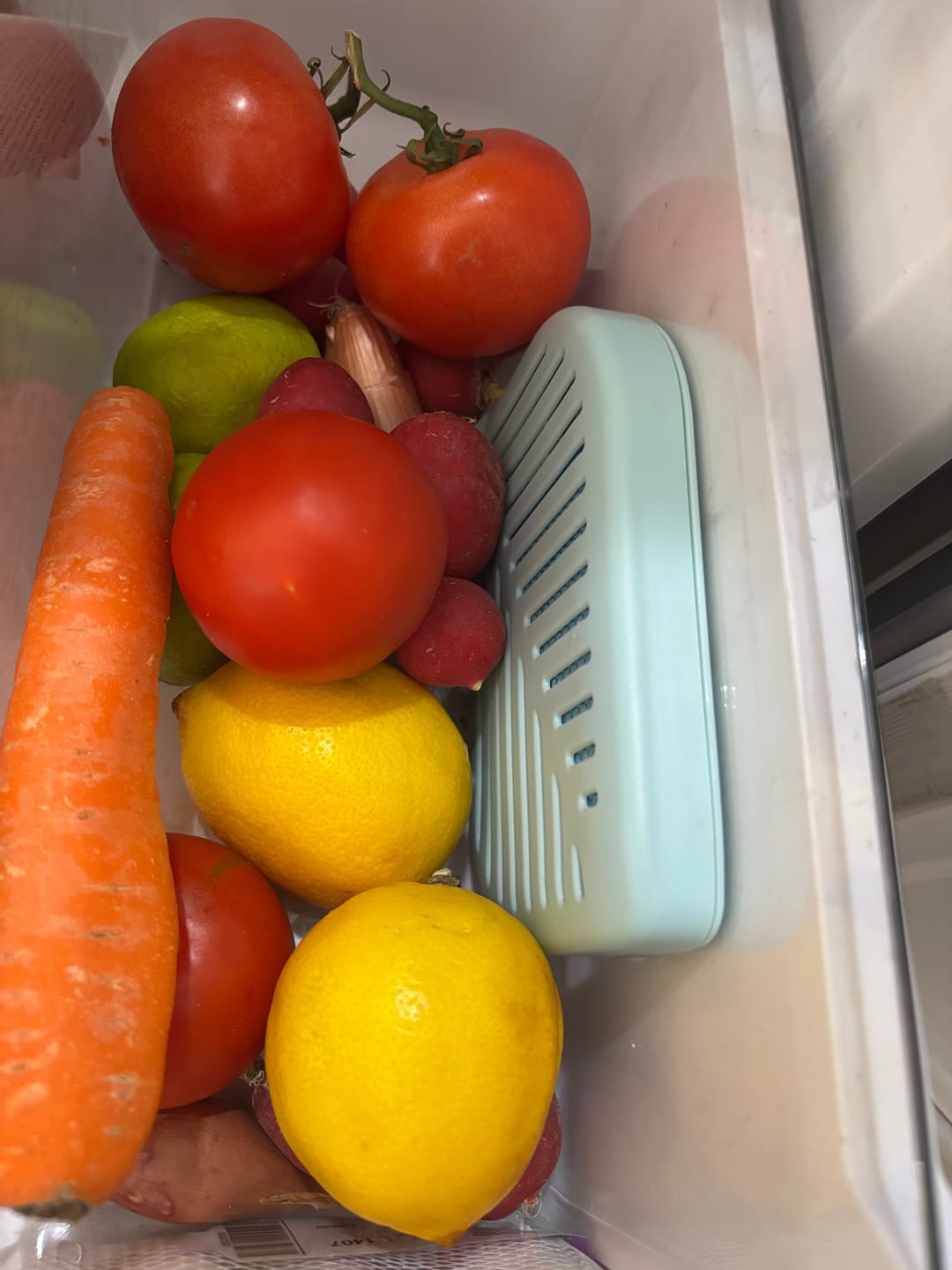 FridgePal™ Produce Saver | 3-Month Supply